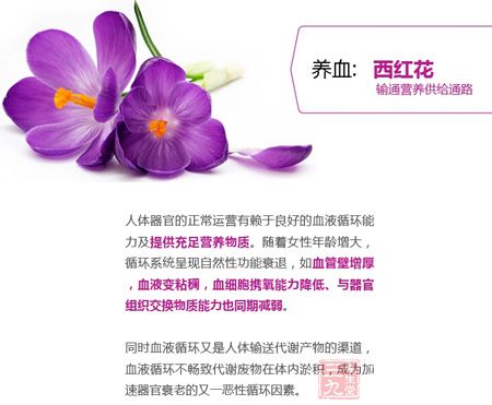 养血:西红花,输通营养供给通路 养血:西红花,输通营养供给通路