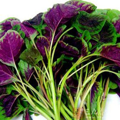 苋菜含有丰富的营养素 苋菜含有丰富的营养素