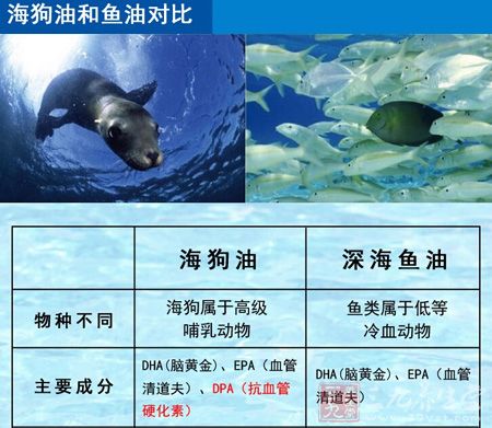 海狗油与鱼油对比 海狗油与鱼油对比