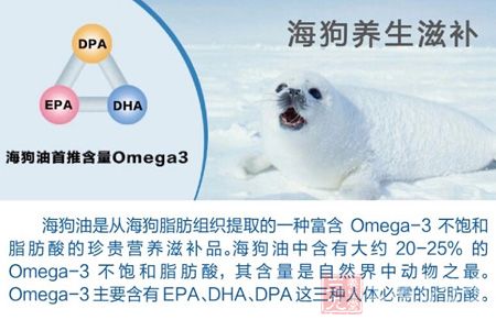 海狗养生滋补 海狗养生滋补