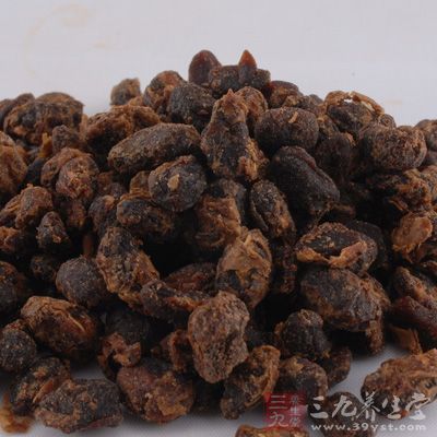 豆豉是一味中药，风寒感冒，怕冷发热，寒热头痛，鼻塞喷嚏，腹痛吐泻者宜食