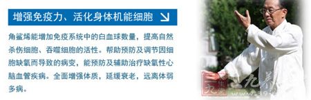 增强免疫力、活化机能细胞 增强免疫力、活化机能细胞