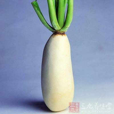 萝卜:根茎类蔬菜中的“健康保护神” 萝卜:根茎类蔬菜中的“健康保护神”