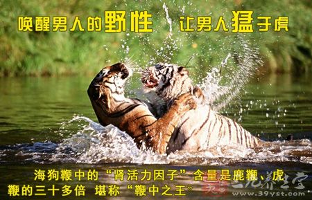 唤醒男人的野性,让男人猛于虎 唤醒男人的野性,让男人猛于虎