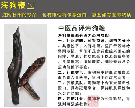 海狗鞭主要有四大药用功能 海狗鞭主要有四大药用功能