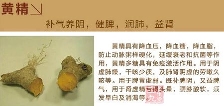 黄精补气养阴,健脾,润肺,益肾 黄精补气养阴,健脾,润肺,益肾