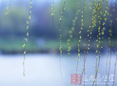 惊蛰是二十四节气之一 惊蛰是二十四节气之一