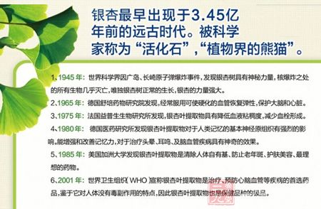 银杏早出现于3.45亿年前的远古时代 银杏早出现于3.45亿年前的远古时代
