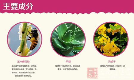 主要成分 主要成分