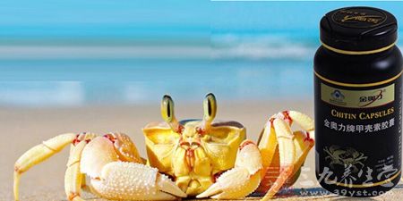 金奥力牌甲壳素胶囊 金奥力牌甲壳素胶囊