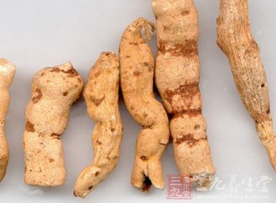 甘遂的治病功效及食疗方