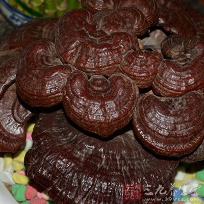 灵芝切片50克,人参20克,冰糖500克,白酒1500毫升 灵芝切片50克,人参20克,冰糖500克,白酒1500毫升