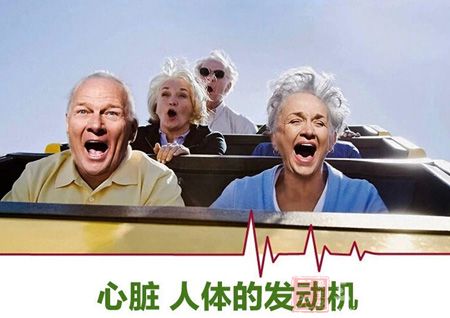 心脏,人体的发动机 心脏,人体的发动机