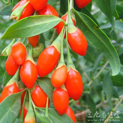 正品宁夏枸杞果粒大小在580-250粒/50克 正品宁夏枸杞果粒大小在580-250粒/50克