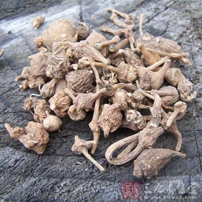 竹节七的药用价值与应用_清热药_中药图典