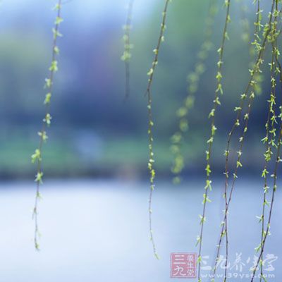 惊蛰后，天气将明显变暖