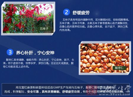 一杯戈宝茶,喝好、睡好、身体好 一杯戈宝茶,喝好、睡好、身体好