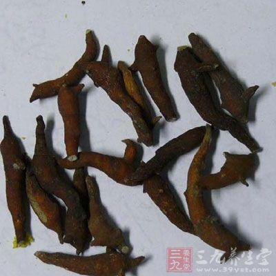 两头尖能治痈疽疮疡 两头尖能治痈疽疮疡