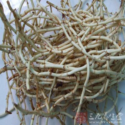 鱼腥草的副作用 鱼腥草泡水喝有啥副作用