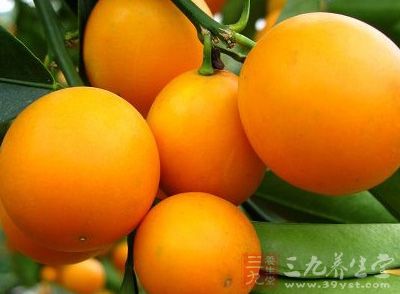 桔子有哪些食用禁忌 桔子有哪些食用禁忌