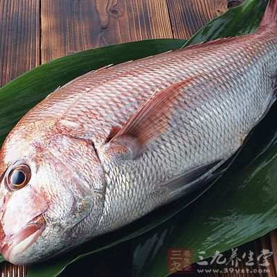 魚是優(yōu)質(zhì)蛋白質(zhì)的重要來源，有些魚如鱒魚中還含有豐富的維生素D