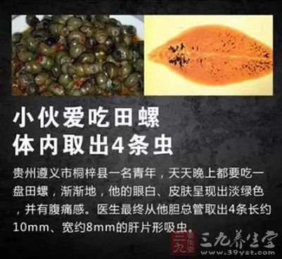 田螺中有很多虫