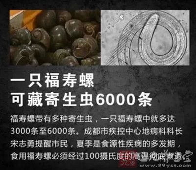 福寿螺可藏寄生虫6000条