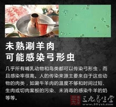 未熟刷羊肉可能会感染弓形虫