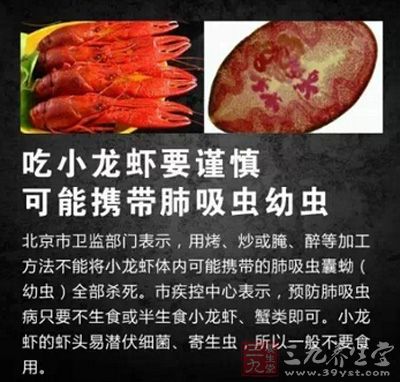小龙虾可能携带肺吸虫幼虫