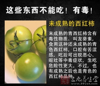 未成熟青西红柿有毒