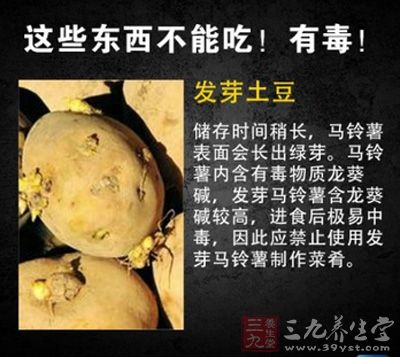 发芽土豆极易中毒