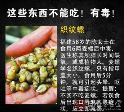 织纹螺可引发头晕、呕吐
