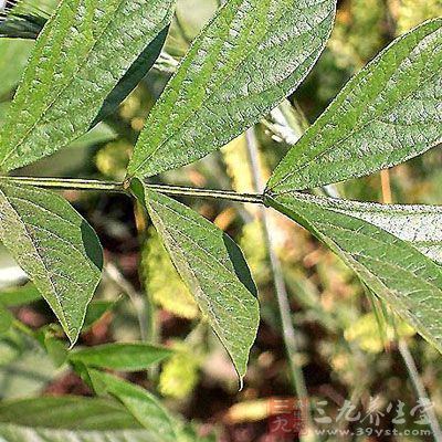 上述方剂,再加上甘草、干姜,水煎取汁服用,效果更 上述方剂,再加上甘草、干姜,水煎取汁服用,效果更