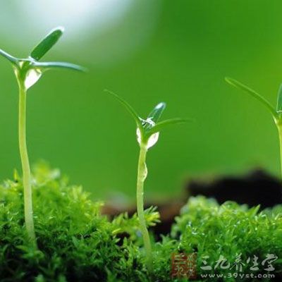 由于早春气候寒冷,空气干燥 由于早春气候寒冷,空气干燥