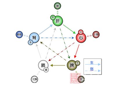 脾胃者，倉廩之官，五味出焉