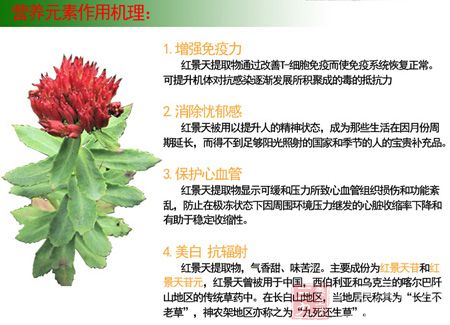 营养元素作用机理 营养元素作用机理