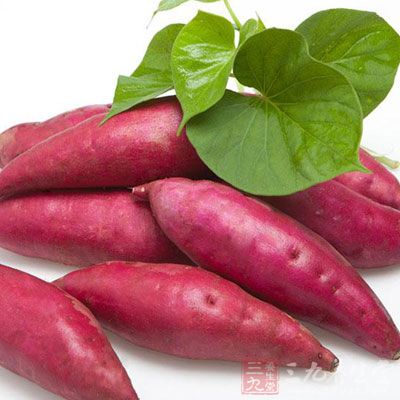 增甘红薯促进消化