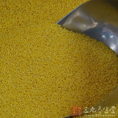 包括小米在内的谷物是护肝的佳选 包括小米在内的谷物是护肝的佳选