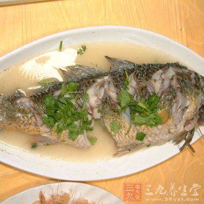 鯉魚1條，重500克左右