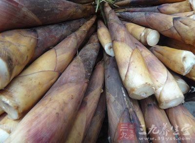 苦竹笋的药用价值与应用