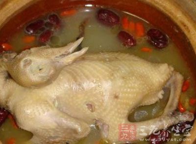 老鸽子的营养价值 老鸽子的营养价值