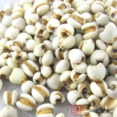 生薏米煮汤服食,利于去湿除风 生薏米煮汤服食,利于去湿除风