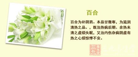 百合为补阴药。本品甘微寒,为滋润清热之品 百合为补阴药。本品甘微寒,为滋润清热之品