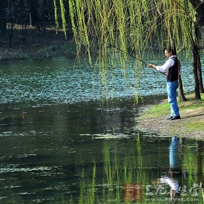 水庫水域廣，除了魚道和窩內(nèi)，很少有魚群聚集在一起