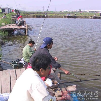 有個大師級的釣手說過：三分釣技，七分釣餌