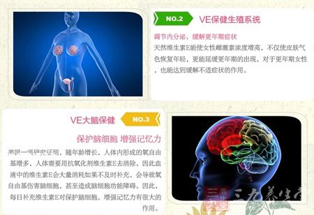 蛋白质营养知识