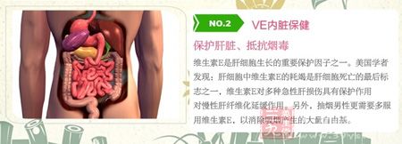 维生素E是肝细胞生长的重要保护因子之一