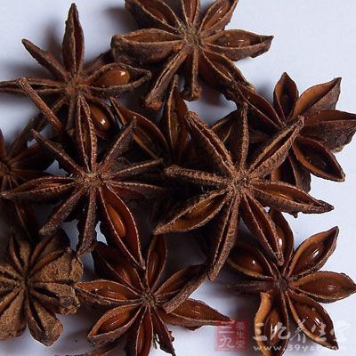 八角又名大茴香 八角又名大茴香