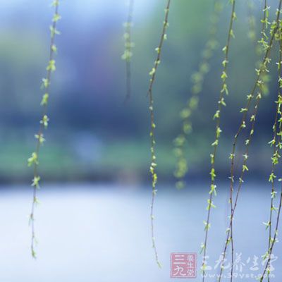 惊蛰养生要“两护”