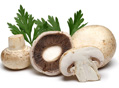 蘑菇的7大营养价值